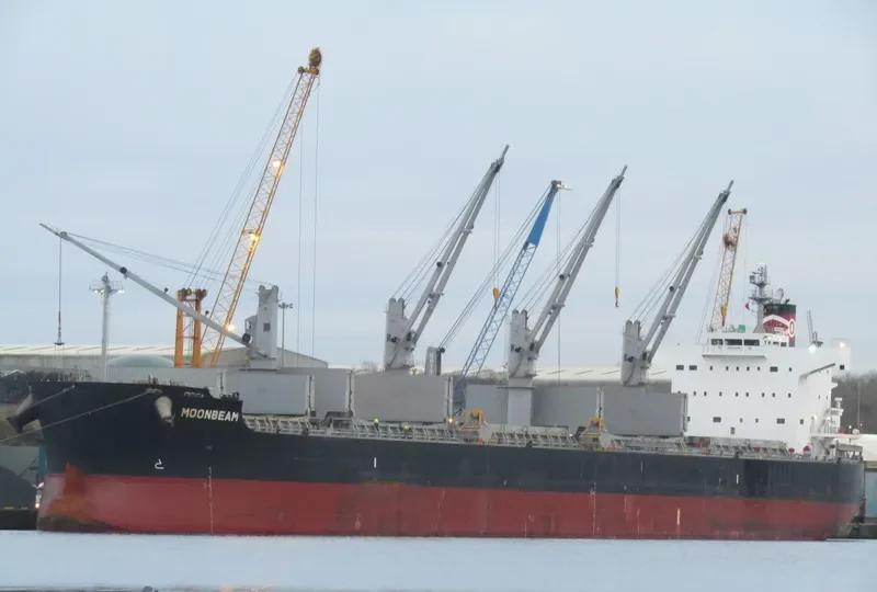MOONBEAM Bulk Carrier IMO 9493987 photo 8