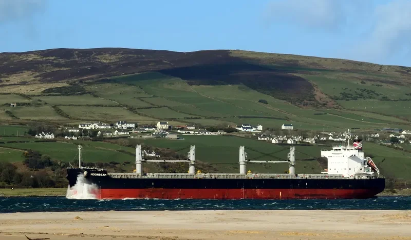 MOONBEAM Bulk Carrier IMO 9493987 photo 9