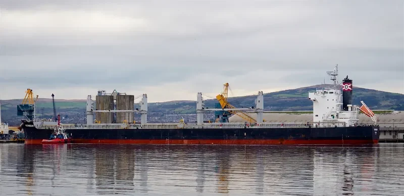 MOONBEAM Bulk Carrier IMO 9493987 photo 10