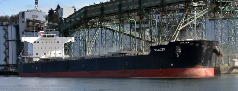 RANGER Bulk Carrier IMO 9493999