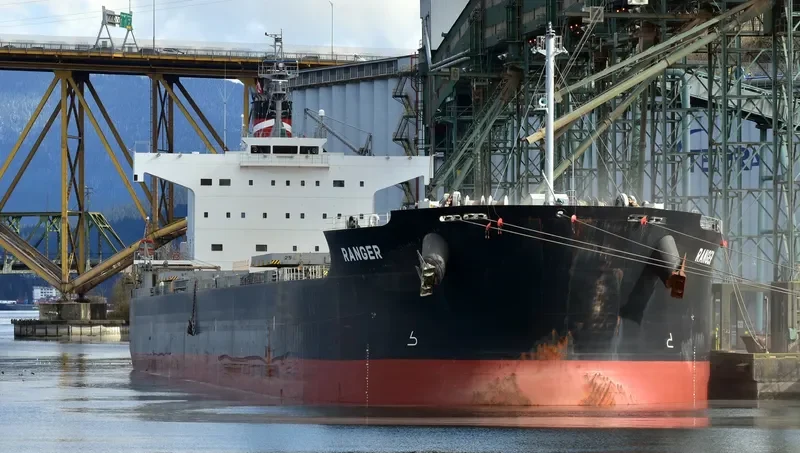 RANGER Bulk Carrier IMO 9493999 photo 2