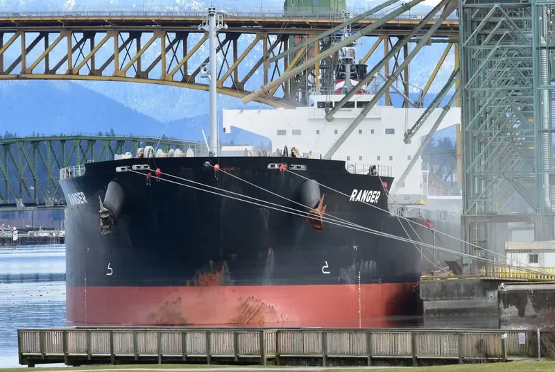 RANGER Bulk Carrier IMO 9493999 photo 3