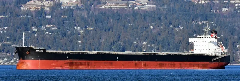 RANGER Bulk Carrier IMO 9493999 photo 5