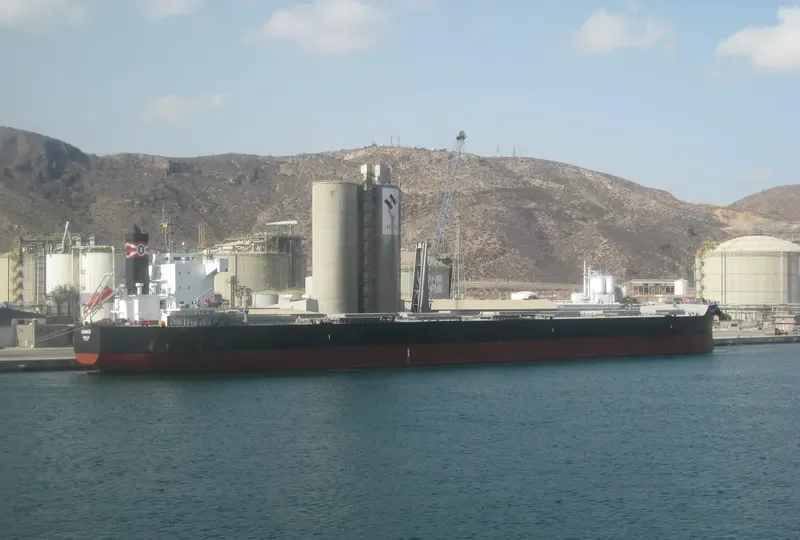 RANGER Bulk Carrier IMO 9493999 photo 6