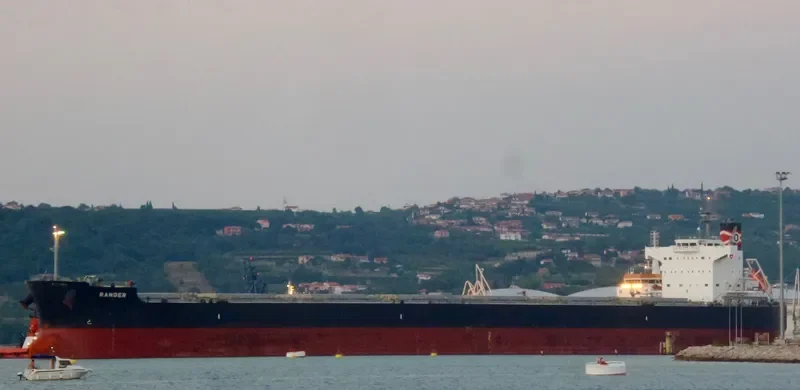 RANGER Bulk Carrier IMO 9493999 photo 7