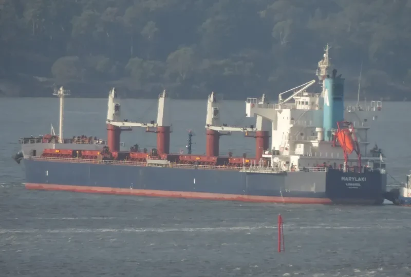 MARYLAKI Bulk Carrier IMO 9494010 photo 2