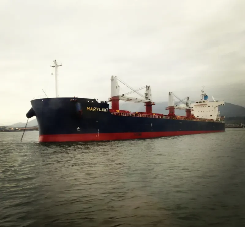 MARYLAKI Bulk Carrier IMO 9494010 photo 4