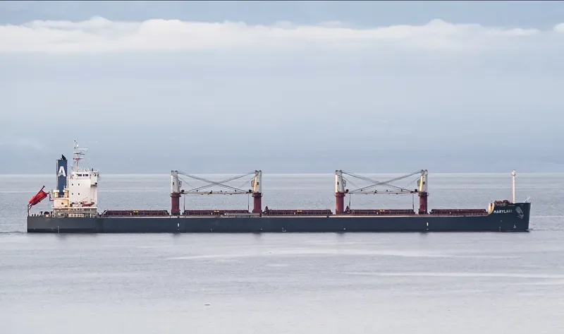MARYLAKI Bulk Carrier IMO 9494010 photo 9
