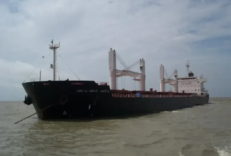 ABU AL ABYAD Bulk Carrier IMO 9494022 photo 308