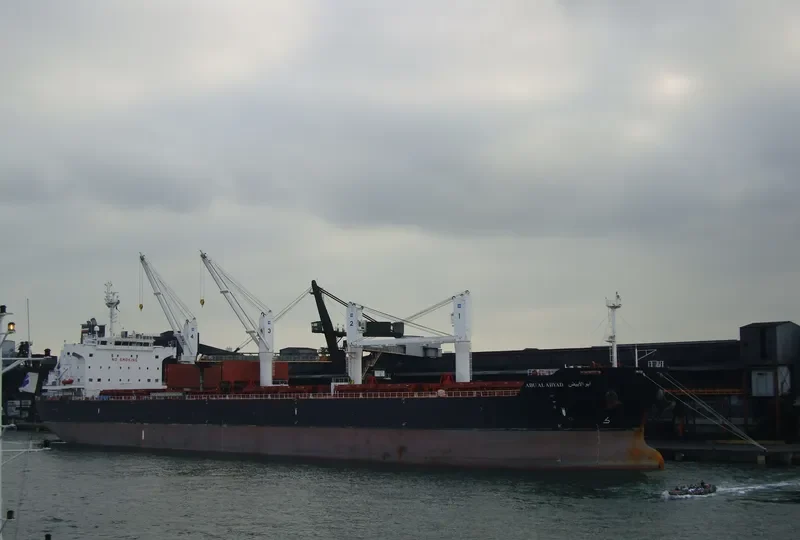 ABU AL ABYAD Bulk Carrier IMO 9494022 photo 499