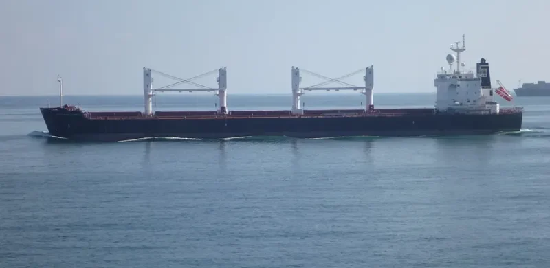 RAS GHUMAYS I Bulk Carrier IMO 9494034 photo 252