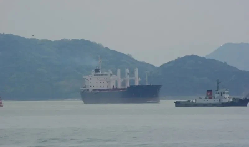 RAS GHUMAYS I Bulk Carrier IMO 9494034 photo 257
