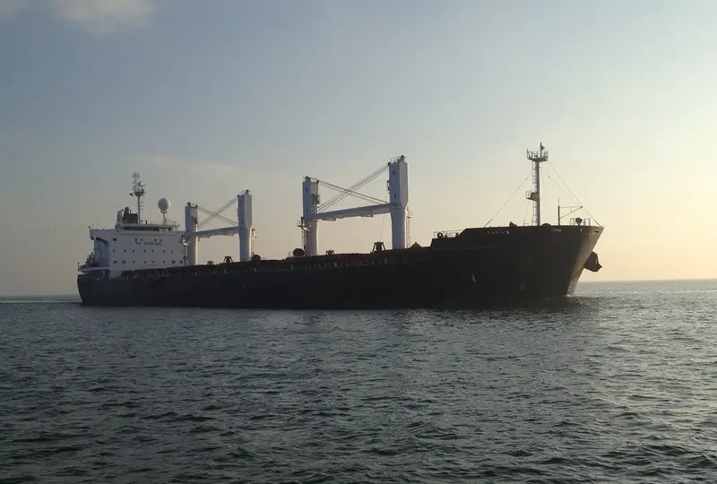 RAS GHUMAYS I Bulk Carrier IMO 9494034 photo 1328
