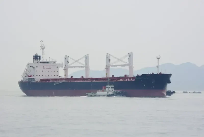RAS GHUMAYS I Bulk Carrier IMO 9494034 photo 1513