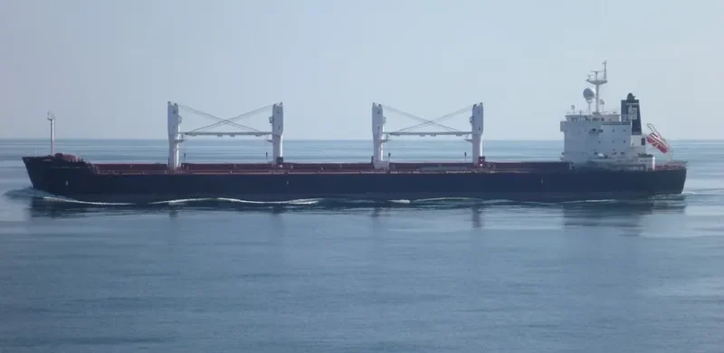 RAS GHUMAYS I Bulk Carrier IMO 9494034 photo 1534