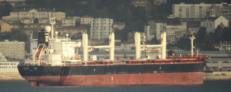 BUTINAH Bulk Carrier IMO 9494046 photo 735