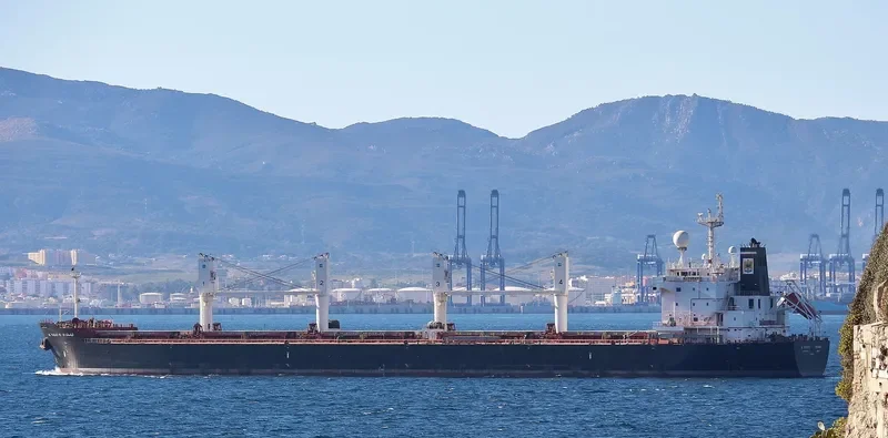 AL YASAT II Bulk Carrier IMO 9494058 photo 317