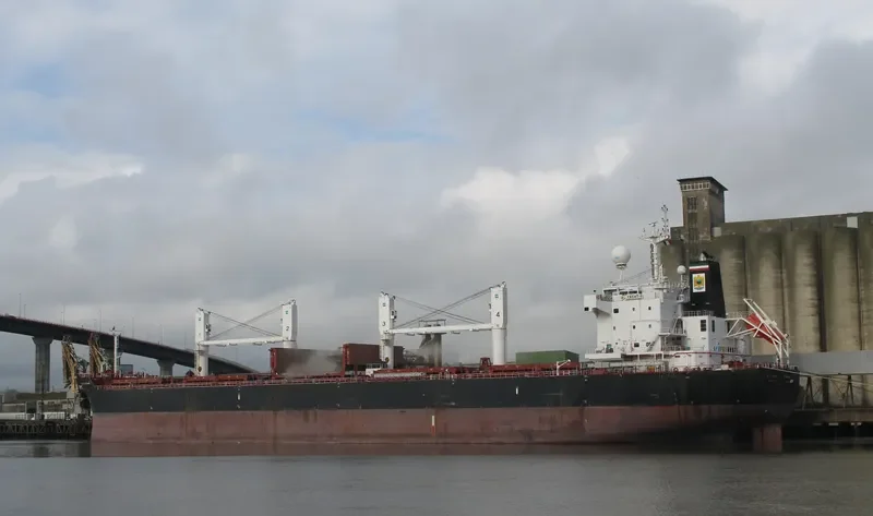 AL YASAT II Bulk Carrier IMO 9494058 photo 454