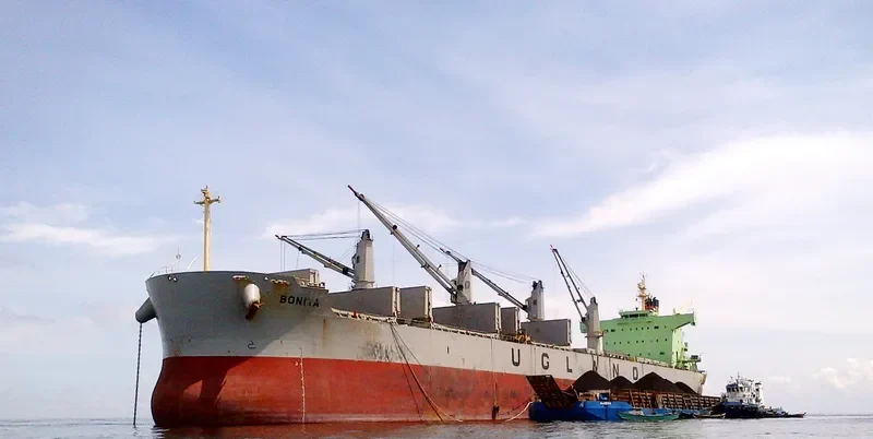 BONITA Bulk Carrier IMO 9494060 photo 3