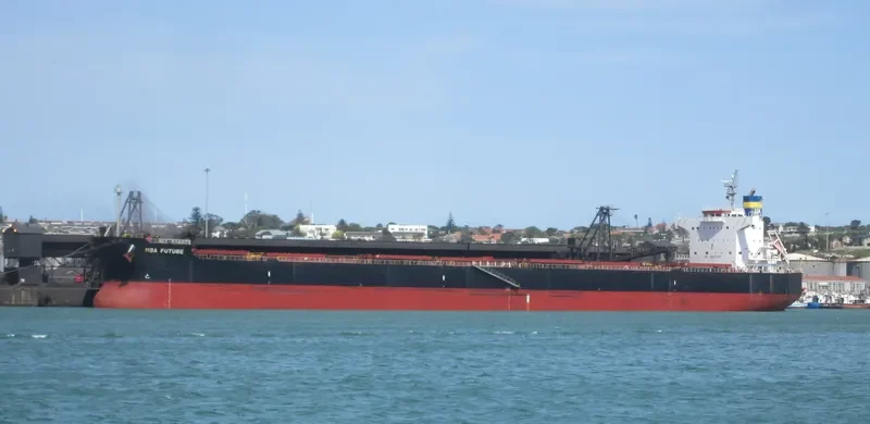 MBA FUTURE Bulk Carrier IMO 9494084 photo 2
