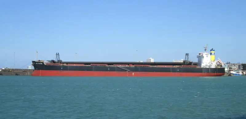 MBA FUTURE Bulk Carrier IMO 9494084 photo 3