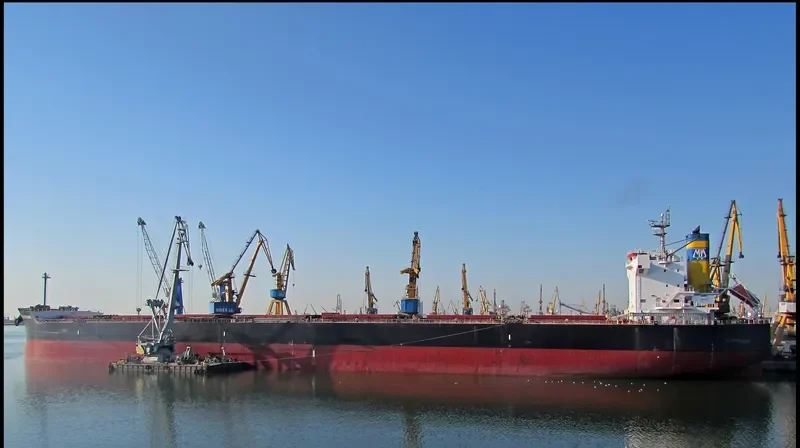 MBA FUTURE Bulk Carrier IMO 9494084 photo 4