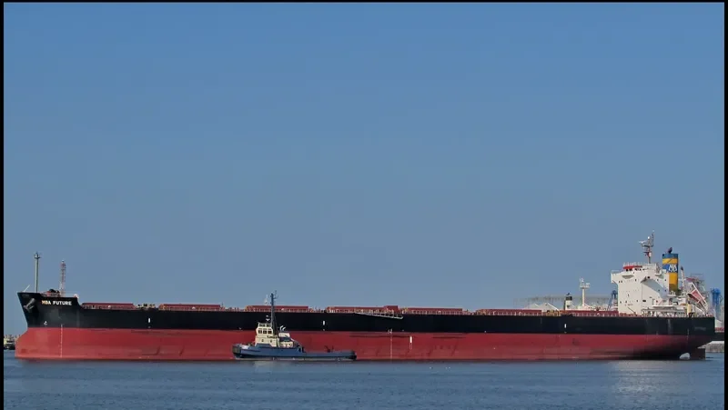 MBA FUTURE Bulk Carrier IMO 9494084 photo 5