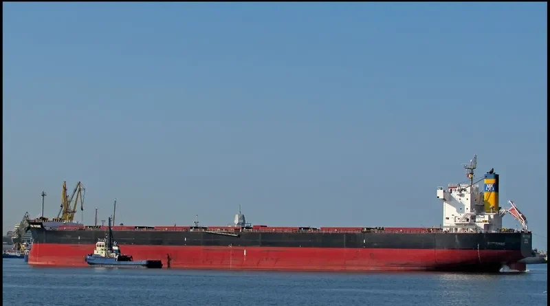 MBA FUTURE Bulk Carrier IMO 9494084 photo 6