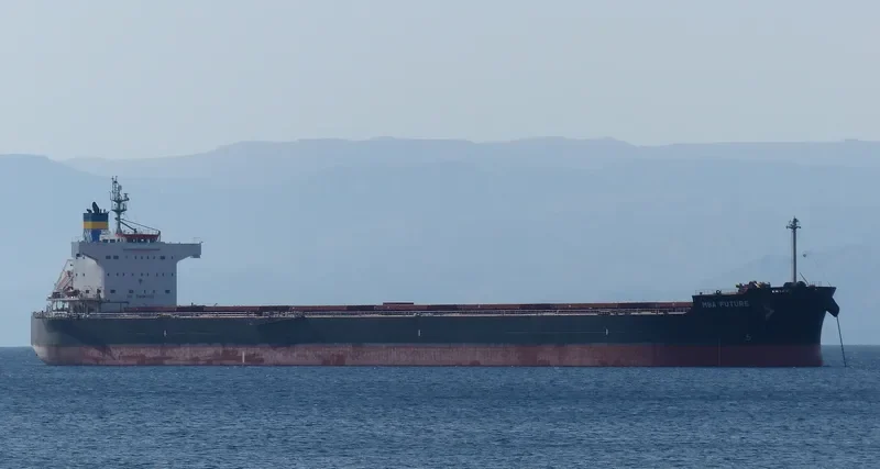 MBA FUTURE Bulk Carrier IMO 9494084 photo 7