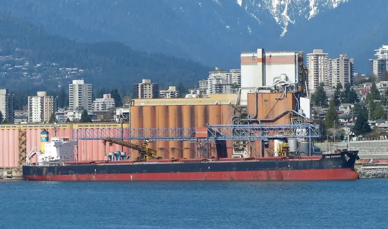 MBA FUTURE Bulk Carrier IMO 9494084 photo 9
