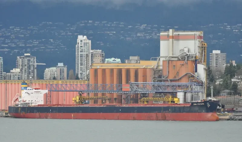 MBA FUTURE Bulk Carrier IMO 9494084 photo 10