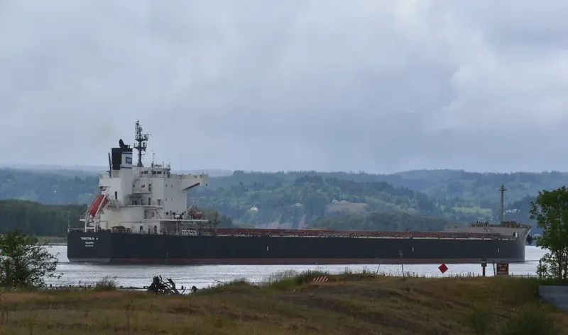 THESTELIA K Bulk Carrier IMO 9494096 photo 6