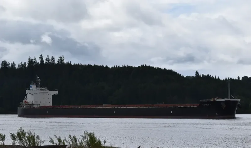 THESTELIA K Bulk Carrier IMO 9494096 photo 7