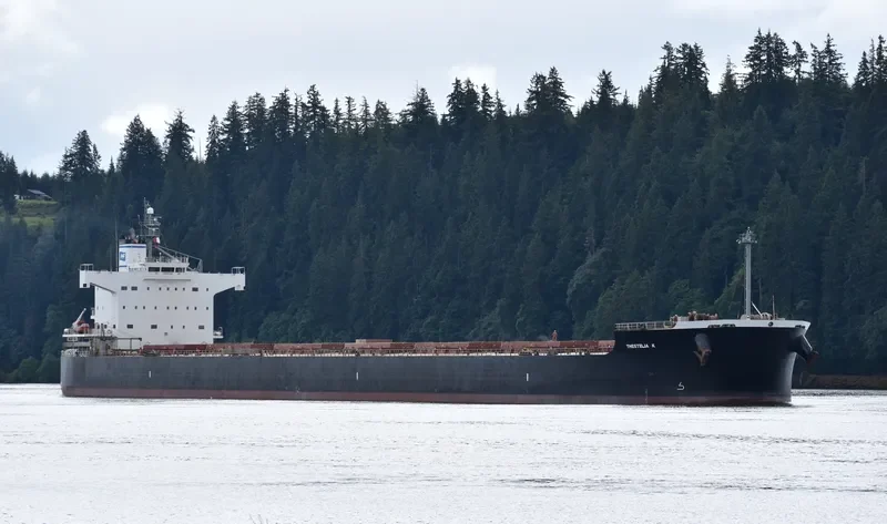 THESTELIA K Bulk Carrier IMO 9494096 photo 8
