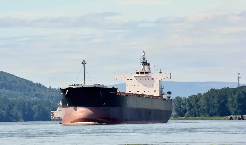 THESTELIA K Bulk Carrier IMO 9494096 photo 9