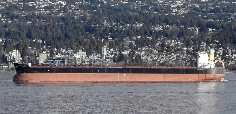 MBA LIBERTY Bulk Carrier IMO 9494101 photo 9