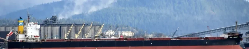 MBA LIBERTY Bulk Carrier IMO 9494101 photo 10