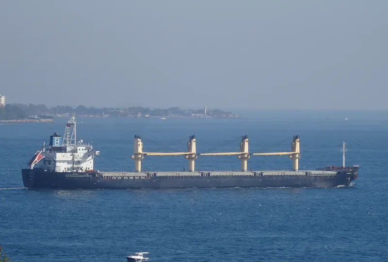 ATALANTA Bulk Carrier IMO 9494113