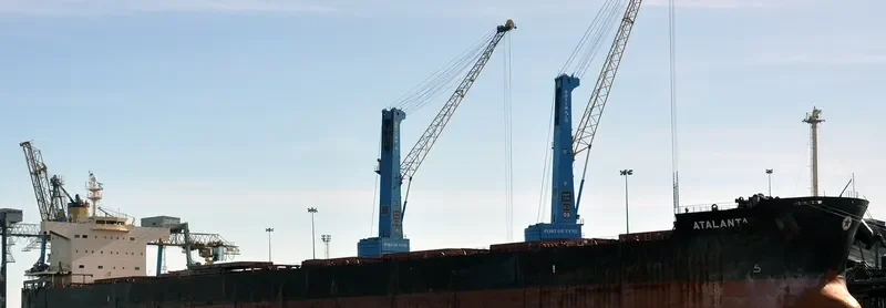 ATALANTA Bulk Carrier IMO 9494113 photo 7