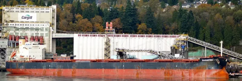 DIAMANTINA Bulk Carrier IMO 9494137 photo 8