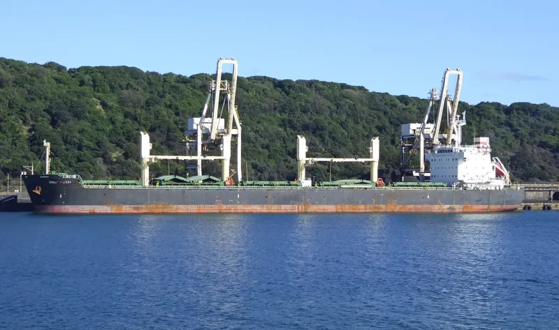 PRINCESS ERIN Bulk Carrier IMO 9494149