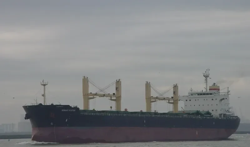 PRINCESS ERIN Bulk Carrier IMO 9494149 photo 2