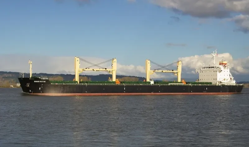 PRINCESS ERIN Bulk Carrier IMO 9494149 photo 3