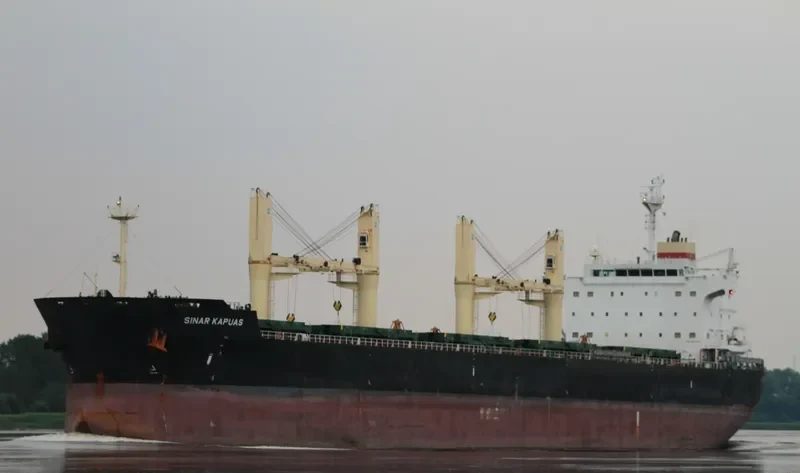 PETRUS Bulk Carrier IMO 9494151 photo 2