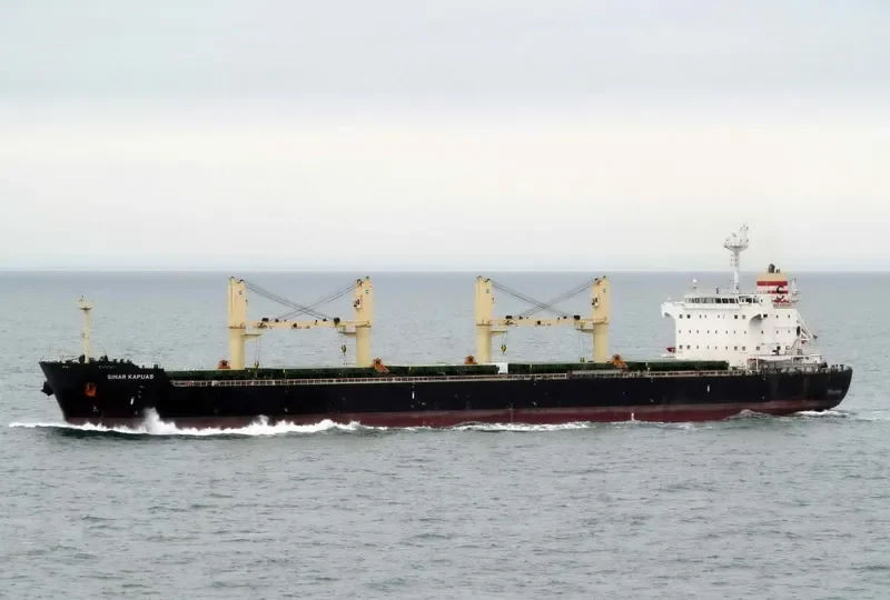 PETRUS Bulk Carrier IMO 9494151 photo 10