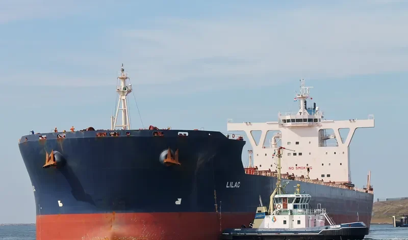 CAPE PROVIDENCE Bulk Carrier IMO 9494228 photo 6