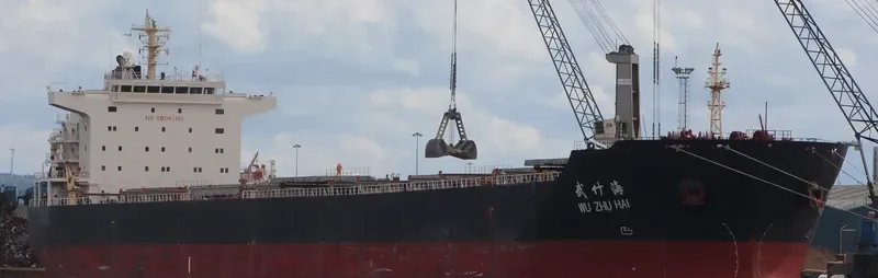 WU ZHU HAI Bulk Carrier IMO 9494371 photo 2