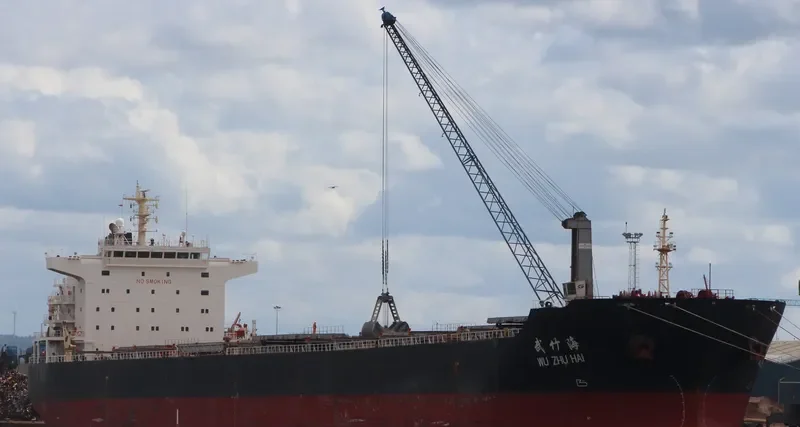 WU ZHU HAI Bulk Carrier IMO 9494371 photo 3