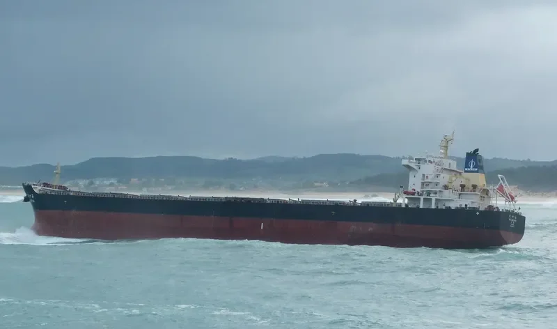 WU ZHU HAI Bulk Carrier IMO 9494371 photo 6