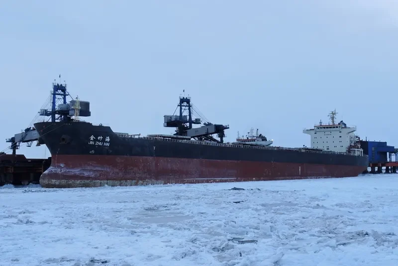 JIN ZHU HAI Bulk Carrier IMO 9494383 photo 7